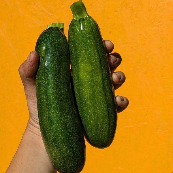 Courgettes