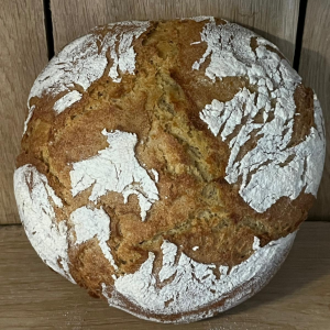 Petit épeautre