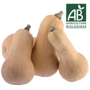 COURGES - Butternut