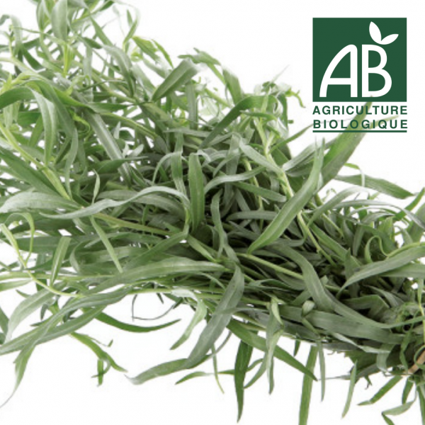 AROMATIQUES - Estragon