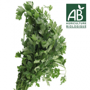 AROMATIQUES - Persil plat