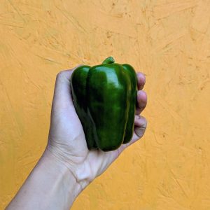 Poivron vert