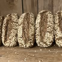 Olaf - Pain nordique