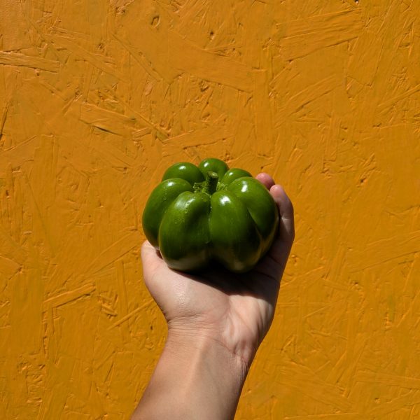 Poivron vert