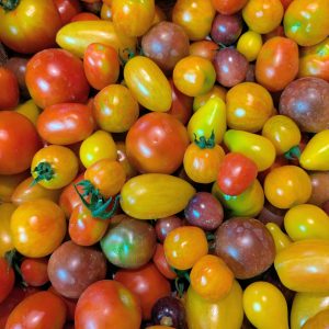 Tomates cerises mélange