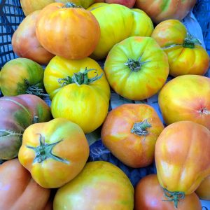 Tomates sauce (3kg)